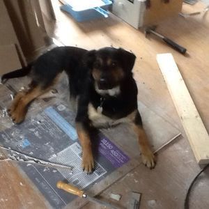 Meet your Posher, Doris